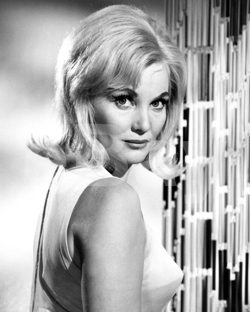 Rattle Of a Simple Man (1964) Diane Cilento 16x12 Photo Poster Print, изображение 4