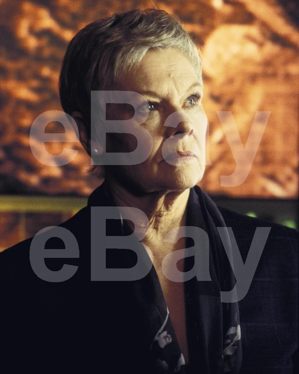 Die Another Day - James Bond (2002) Judi Dench 16x12 Photo Poster Print, image 4