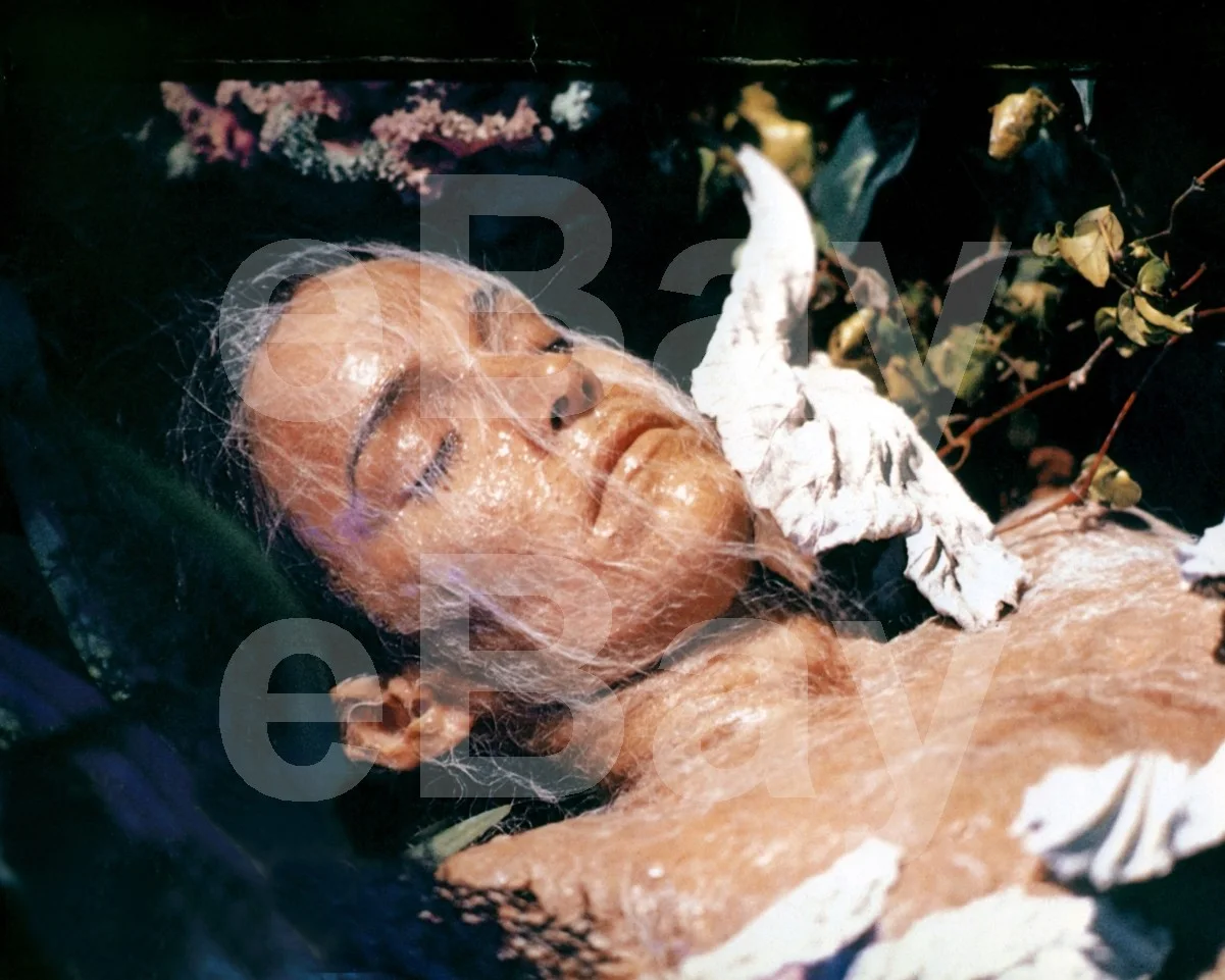 Invasion of the Body Snatchers (1978) Brooke Adams 16x12 Photo, изображение 4