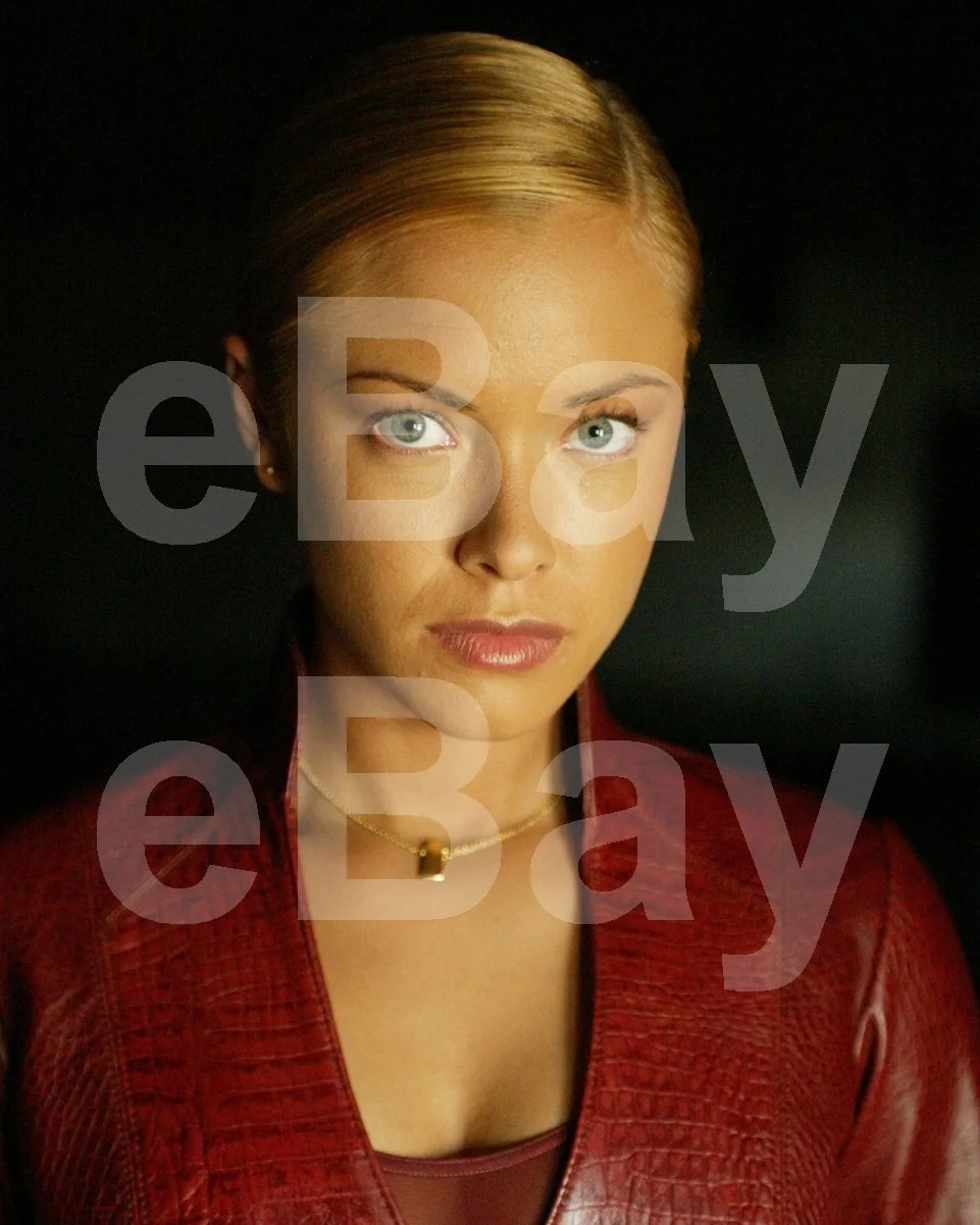 Terminator 3: Rise of the Machines (2003) Kristanna Loken 16x12 Photo Poster, изображение 4