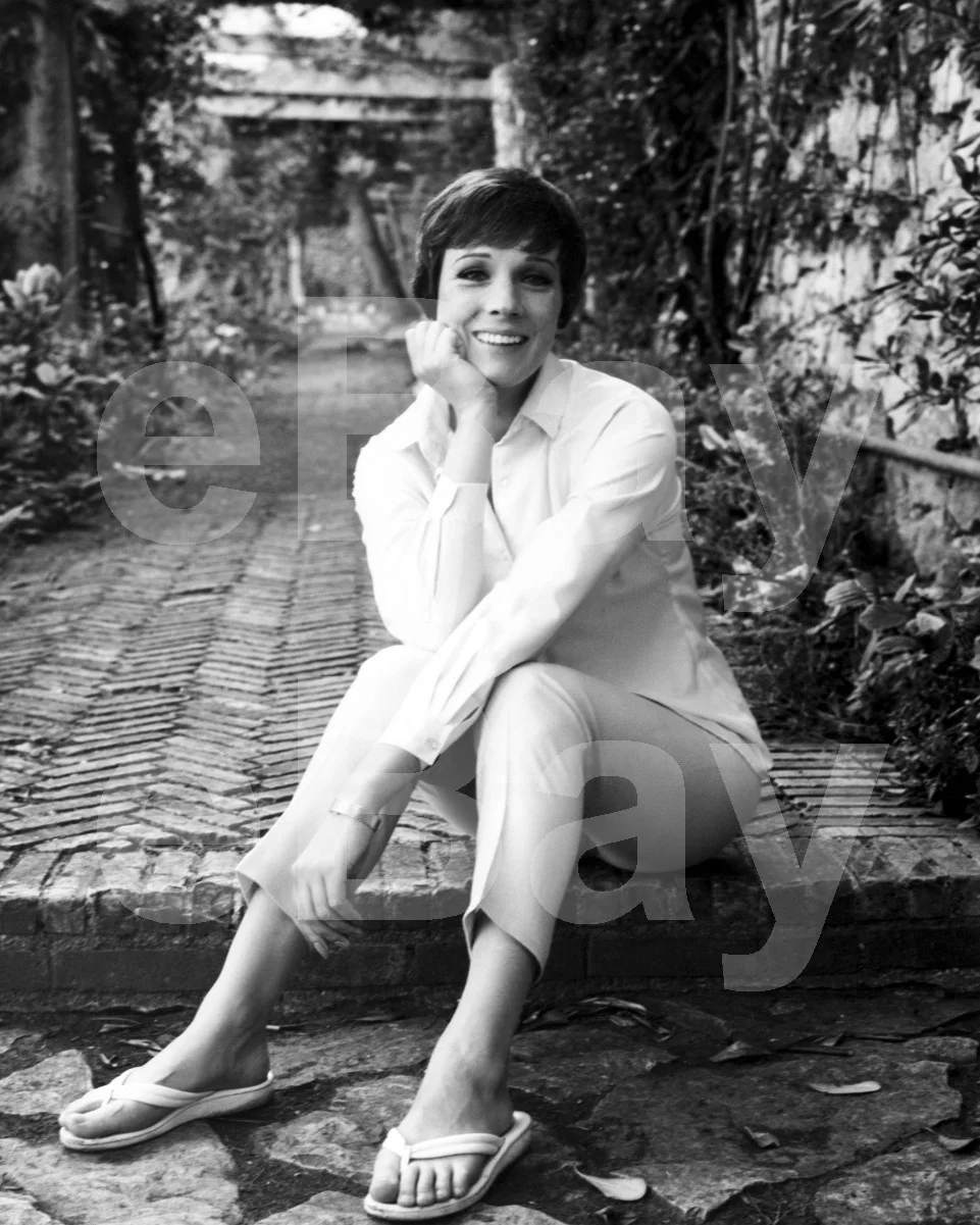Star! (1968) Julie Andrews 16x12 Photo Poster Print, изображение 4