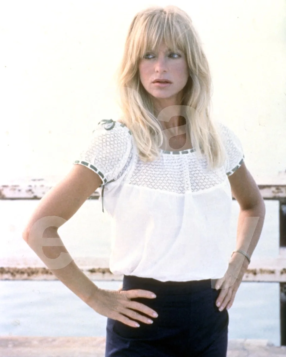 Criss Cross (1992) Goldie Hawn 16x12 Photo Poster Print, изображение 4