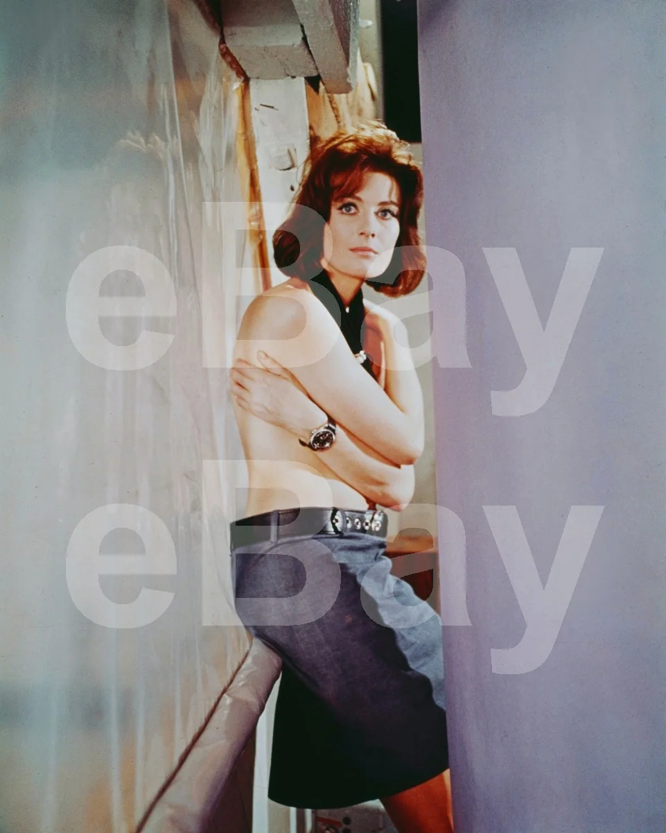 Blow-Up (1966) Vanessa Redgrave 16x12 Photo Poster Print, image 4