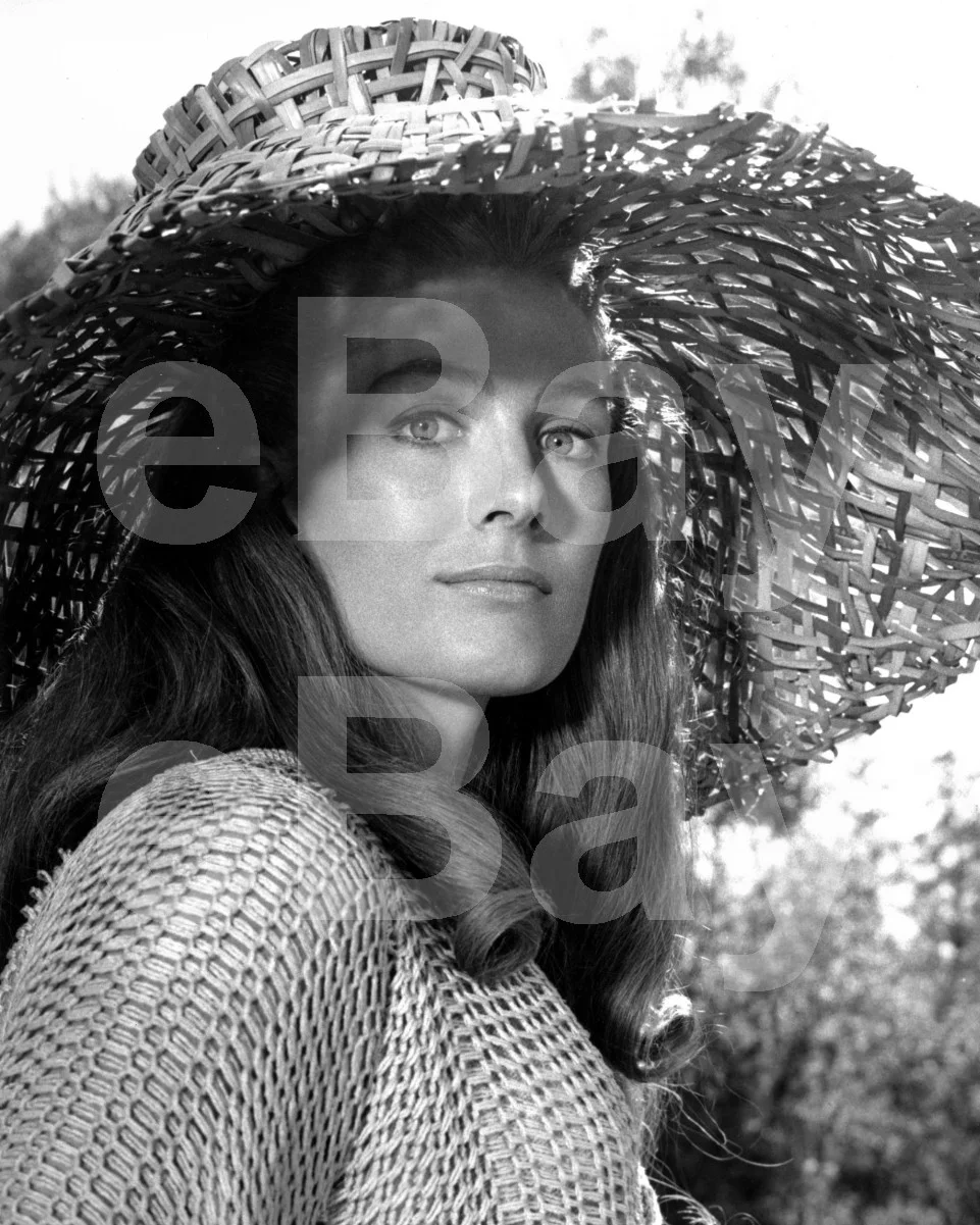 Camelot (1967) Vanessa Redgrave 16x12 Photo Poster Print, изображение 4