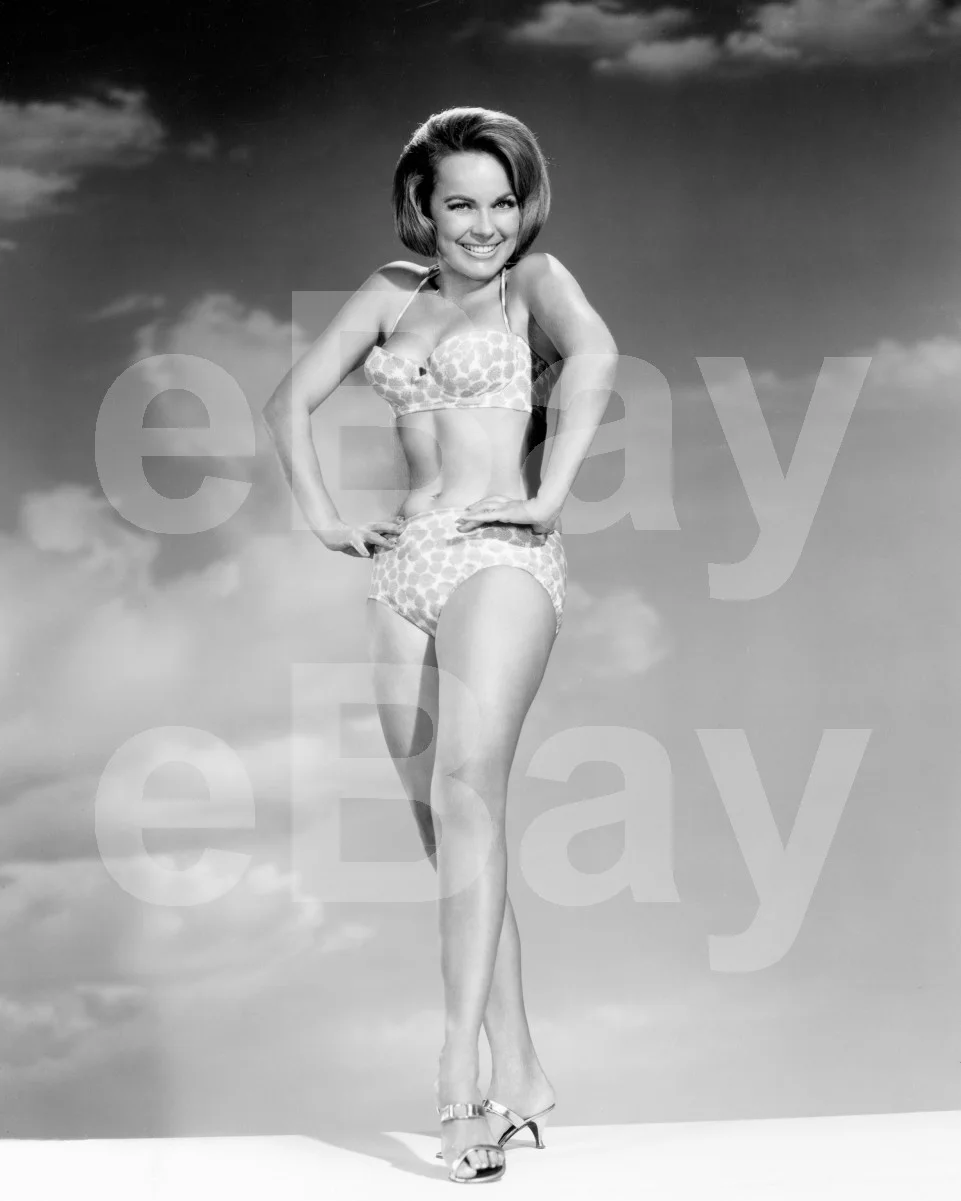 Black Spurs (1965) Terry Moore 16x12 Photo Poster Print, image 4
