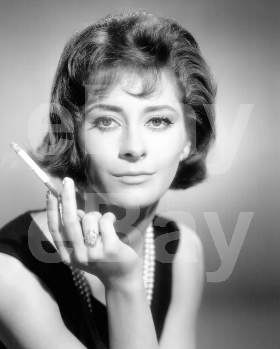 The Carpetbaggers (1964) Elizabeth Ashley 16x12 Photo Poster Print, изображение 4