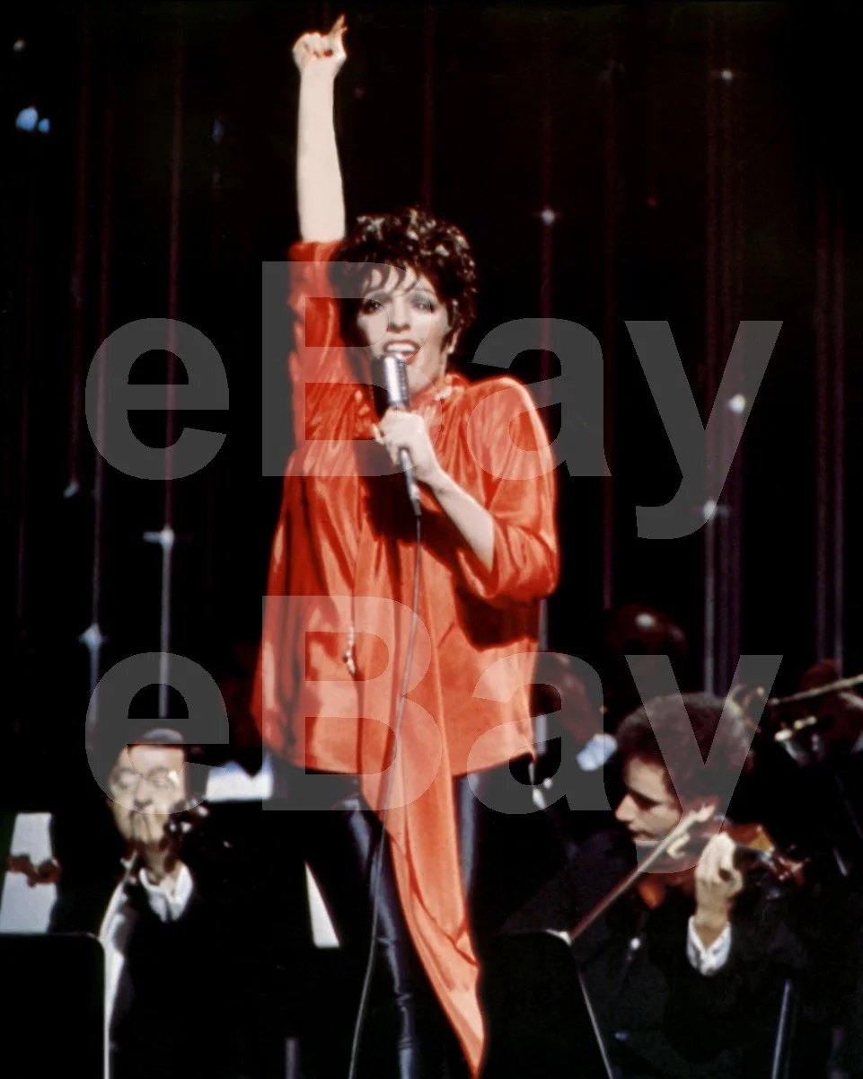 New York, New York (1977) Liza Minnelli 16x12 Photo Poster Print, изображение 4