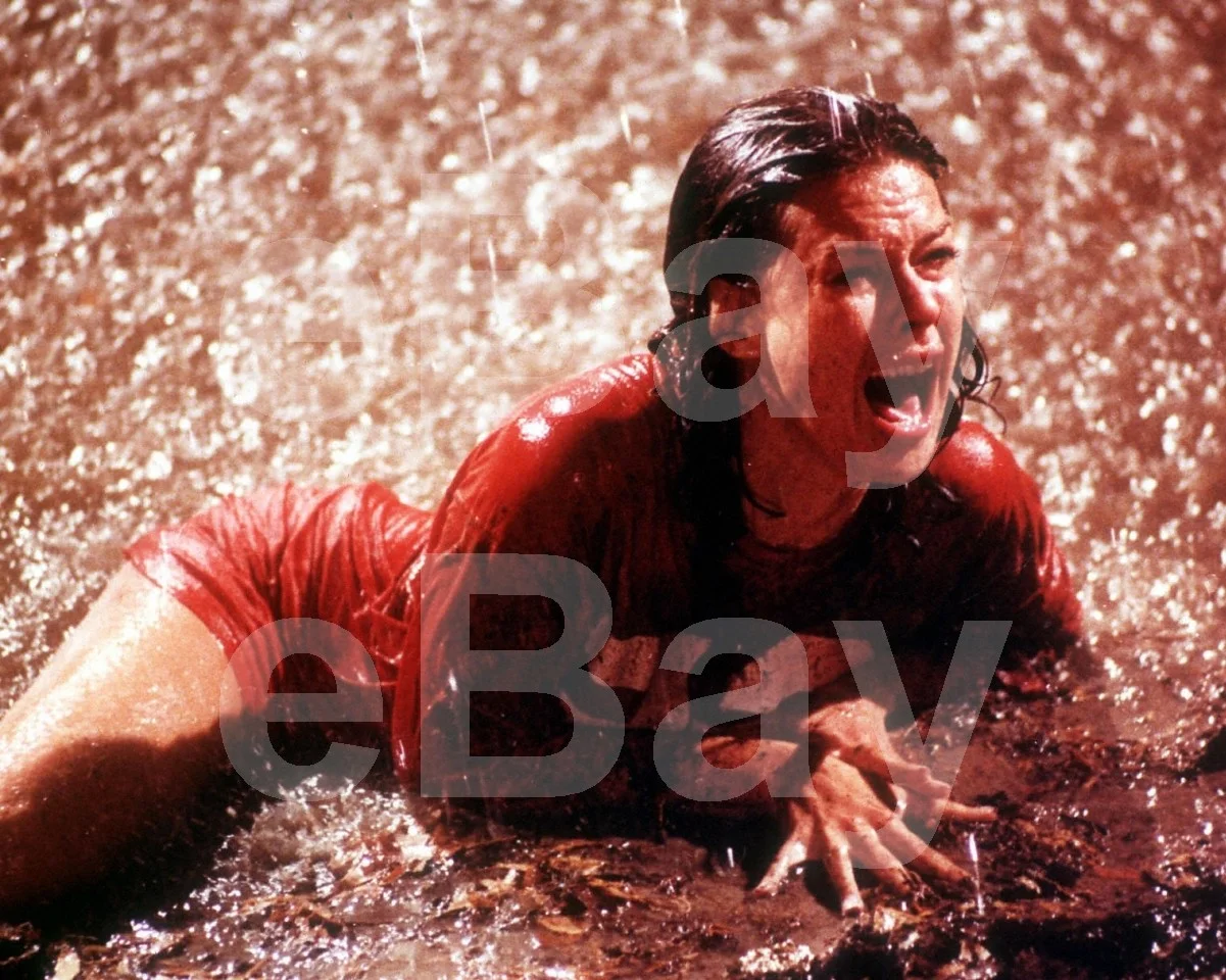 Poltergeist (1982) Jobeth Williams 16x12 Photo Poster Print, image 4