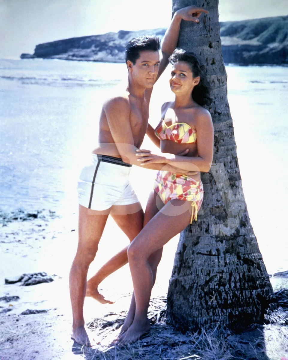 Blue Hawaii (1961) Elvis Presley, Joan Blackman 16x12 Photo, изображение 4