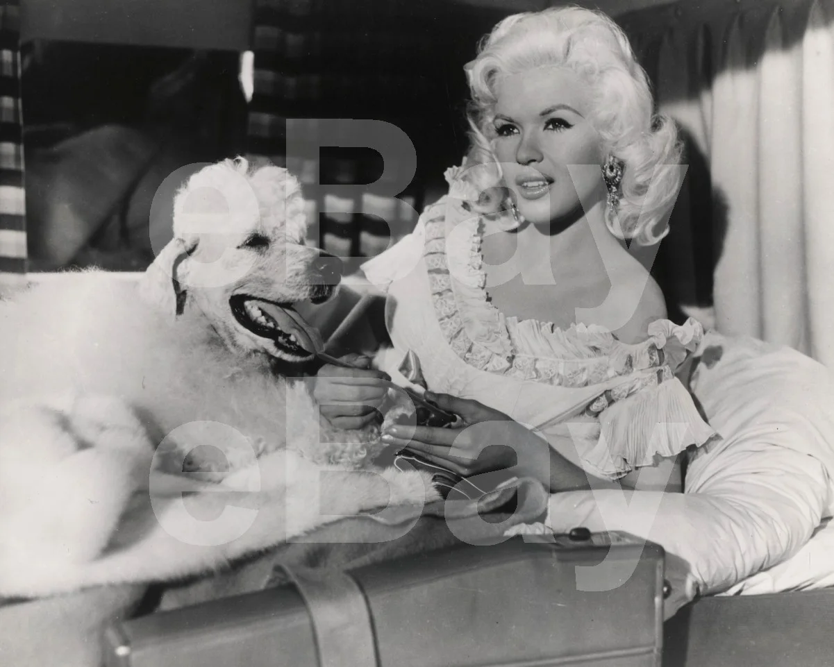 Will Success Spoil Rock Hunter? (1957) Jayne Mansfield 16x12 Photo Poster Print, изображение 4