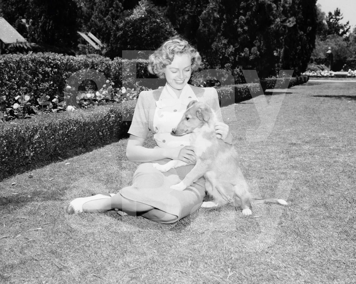 Son of Lassie (1945) June Lockhart 16x12 Photo Poster Print, изображение 4