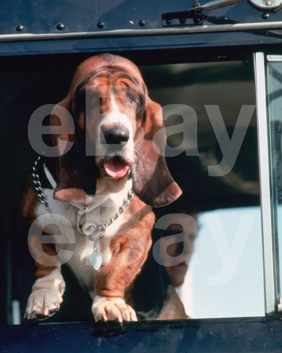 Smokey and the Bandit (1977) Scene 16x12 Photo, image 4