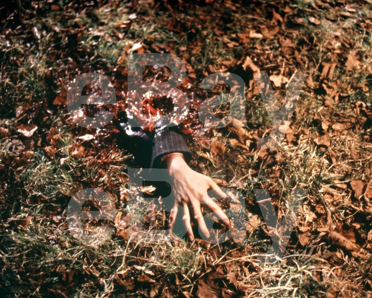 An American Werewolf in London (1981) Scene 16x12 Photo Poster Print, изображение 4