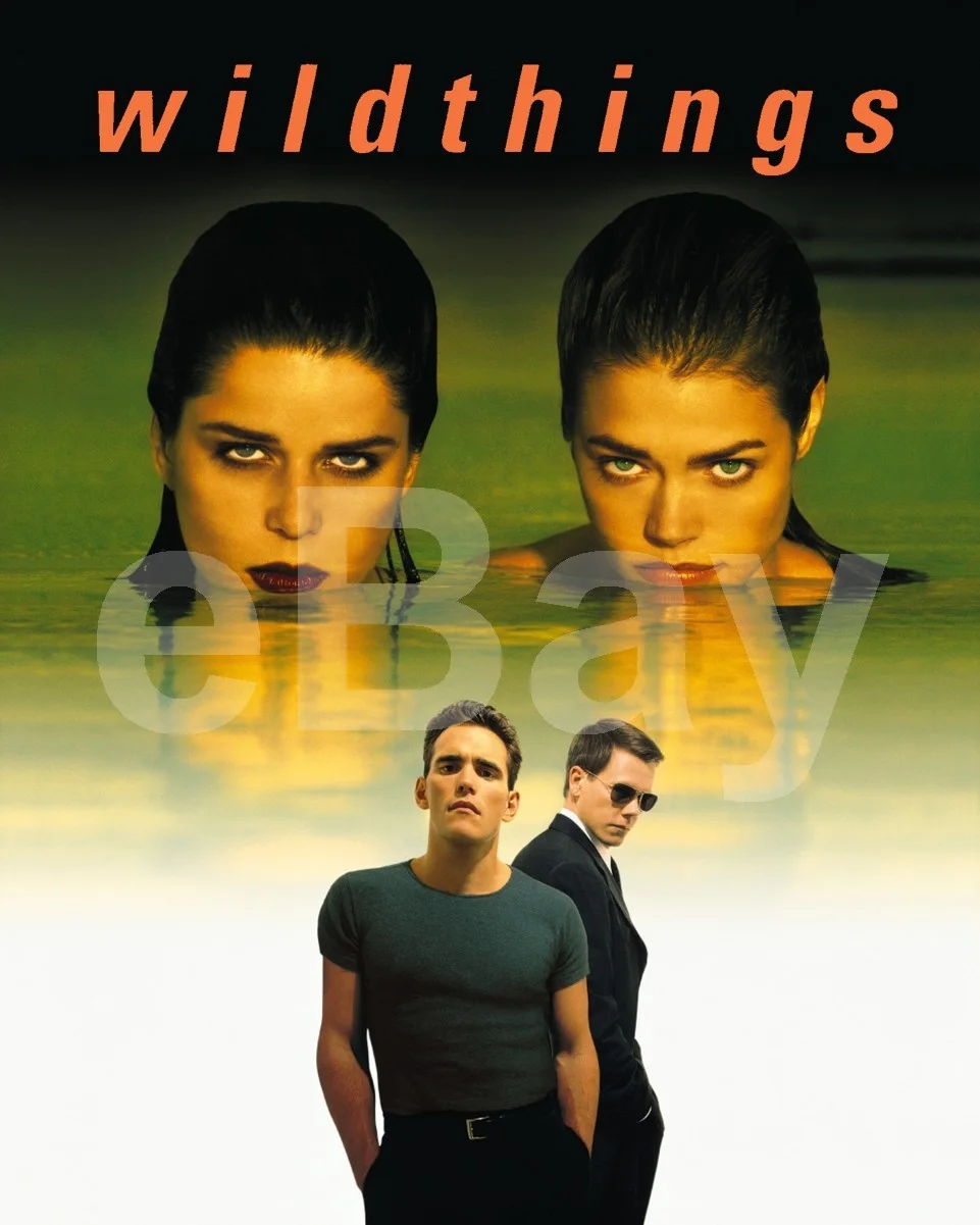 Wild Things (1998) Poster Neve Campbell, Denise Richards 16x12 Photo, image 4