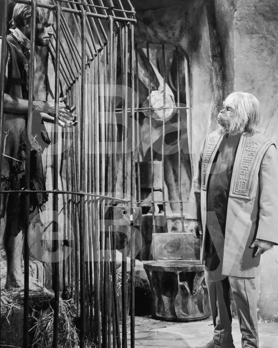 Planet of the Apes (1968) Charlton Heston, Maurice Evans 16x12 Photo Poster, изображение 4