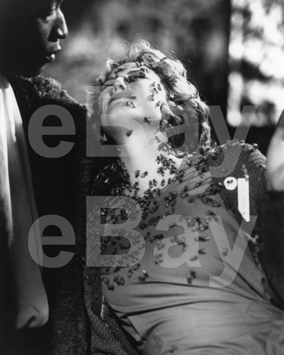 Candyman (1992) Tony Todd, Virginia Madsen 16x12 Photo Poster Print, изображение 4