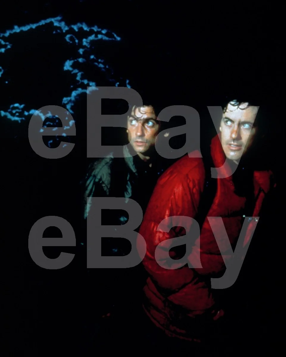 An American Werewolf in London (1981) David Naughton, Griffin Dunne 16x12 Photo, изображение 4