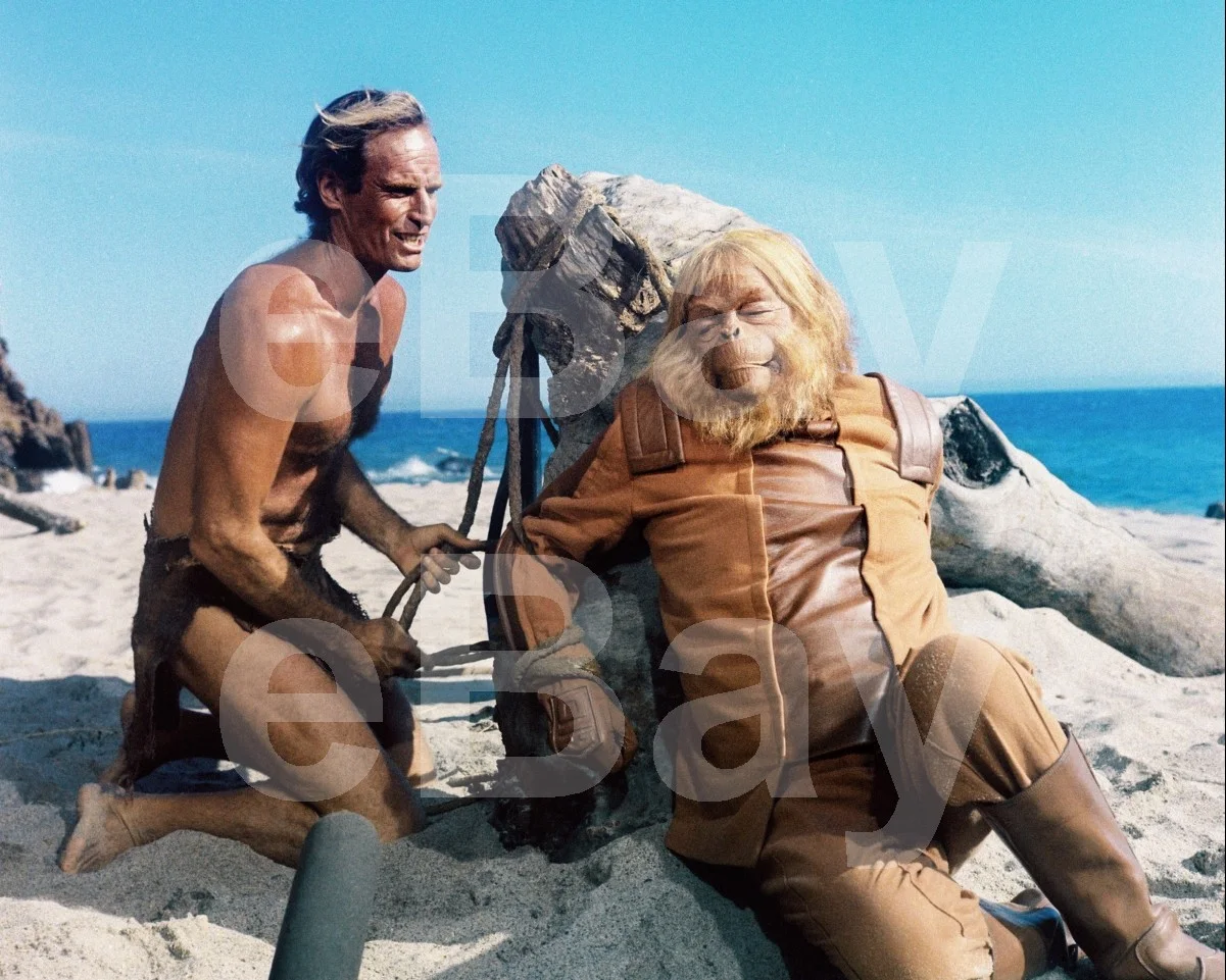 Planet of the Apes (1968) Charlton Heston, Maurice Evans 16x12 Photo Poster, изображение 4
