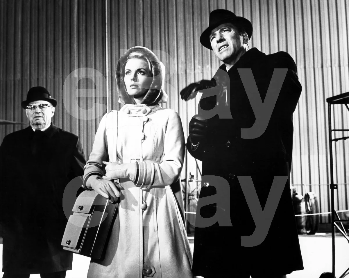 Airport (1970) Jean Seberg, Burt Lancaster 16x12 Photo Poster Print, изображение 4