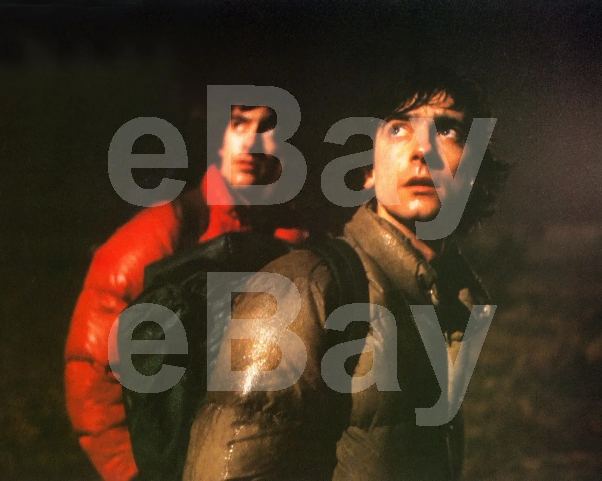 An American Werewolf in London (1981) David Naughton, Griffin Dunne 16x12 Photo, изображение 4