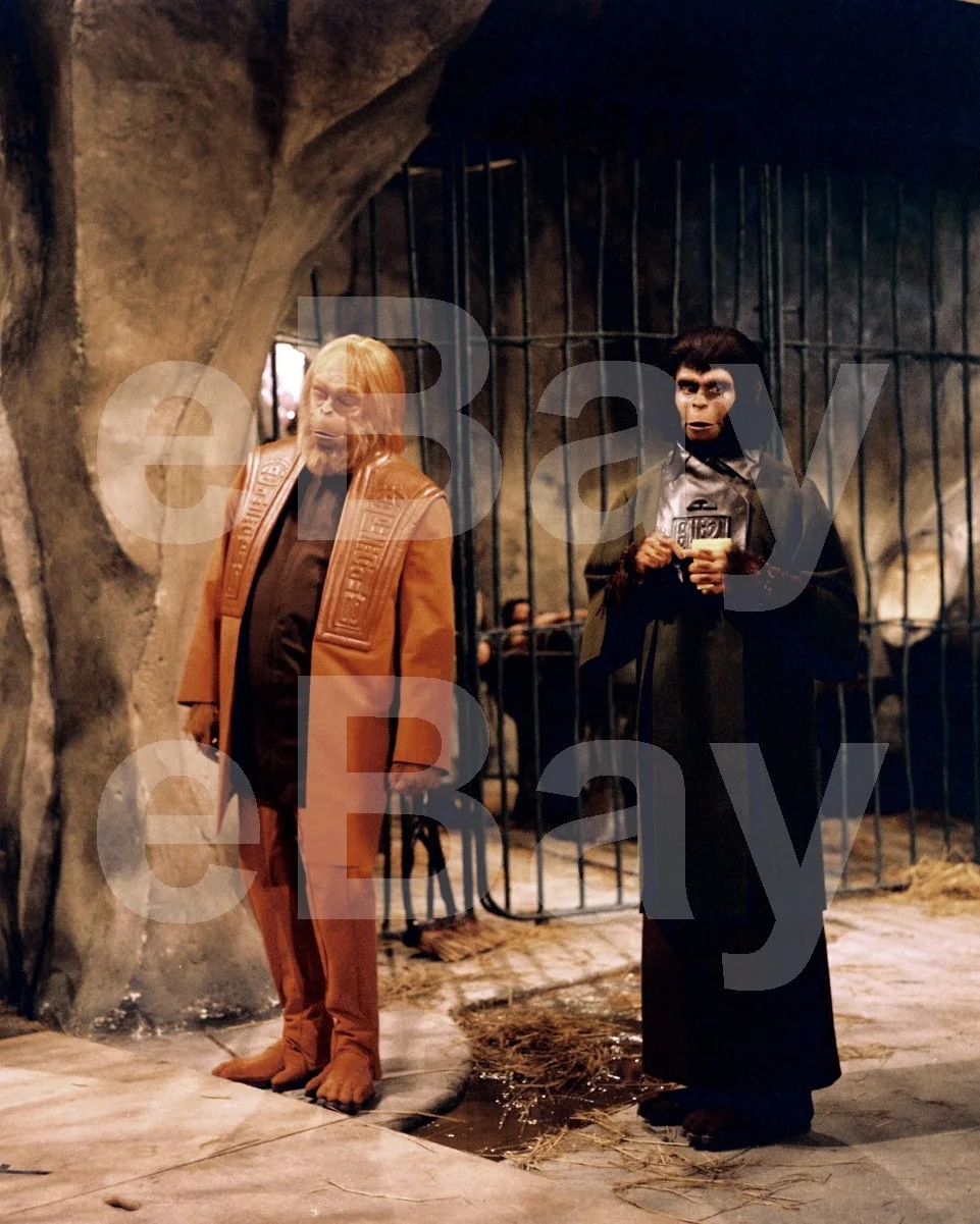 Planet of the Apes (1968) Kim Hunter, Maurice Evans 16x12 Photo Poster Print, изображение 4