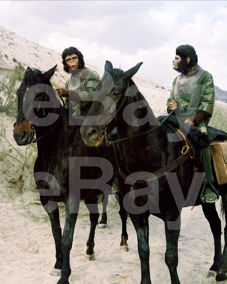 Planet of the Apes (1968) Roddy McDowall, Lou Wagner (Lucius) 16x12 Photo Poster, изображение 4