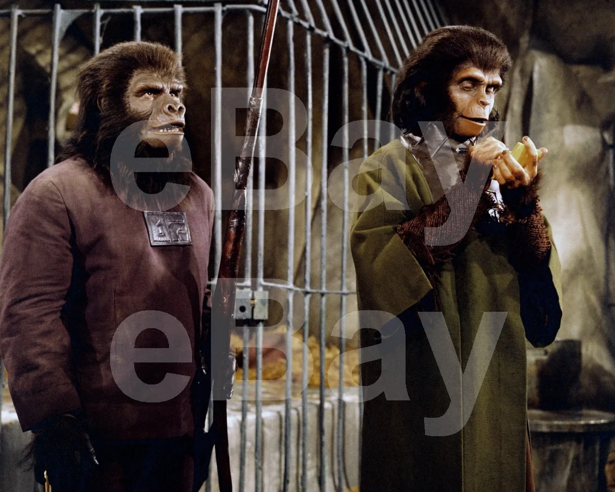 Planet of the Apes (1968) Kim Hunter, Buck Kartalian 16x12 Photo Poster Print, изображение 4