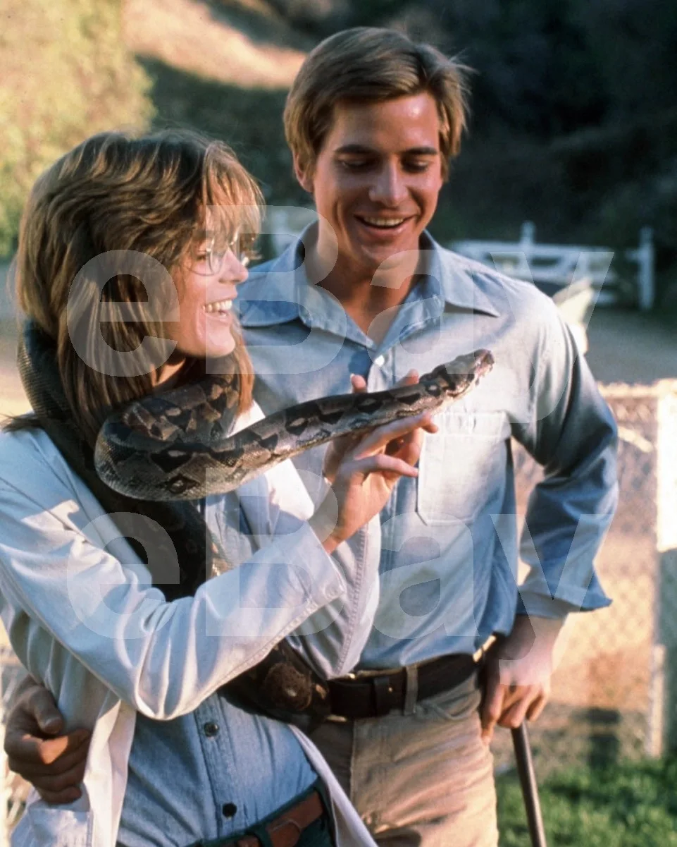 Sssssss (1973) Heather Menzies-Urich, Dirk Benedict 16x12 Photo, image 4