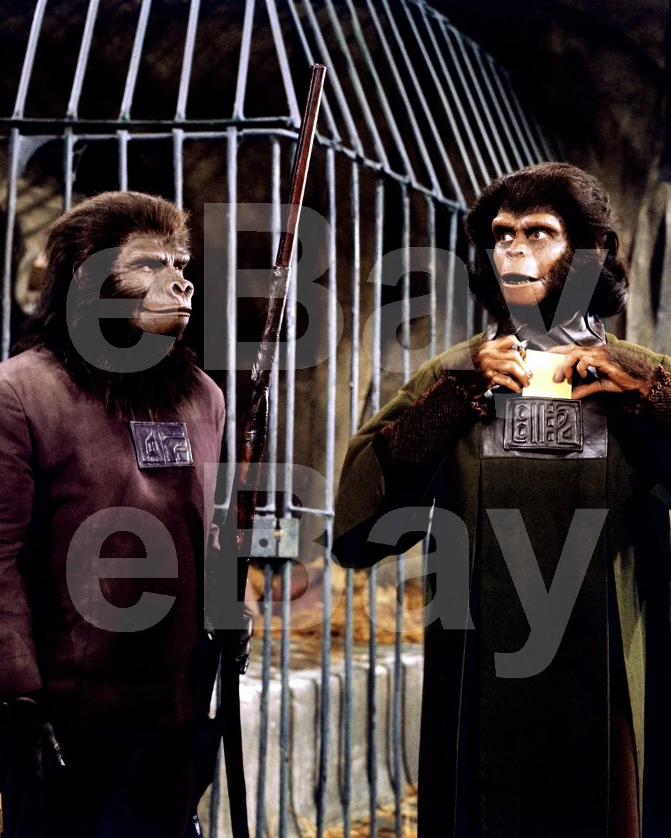 Planet of the Apes (1968) Kim Hunter, Buck Kartalian 16x12 Photo Poster Print, изображение 4