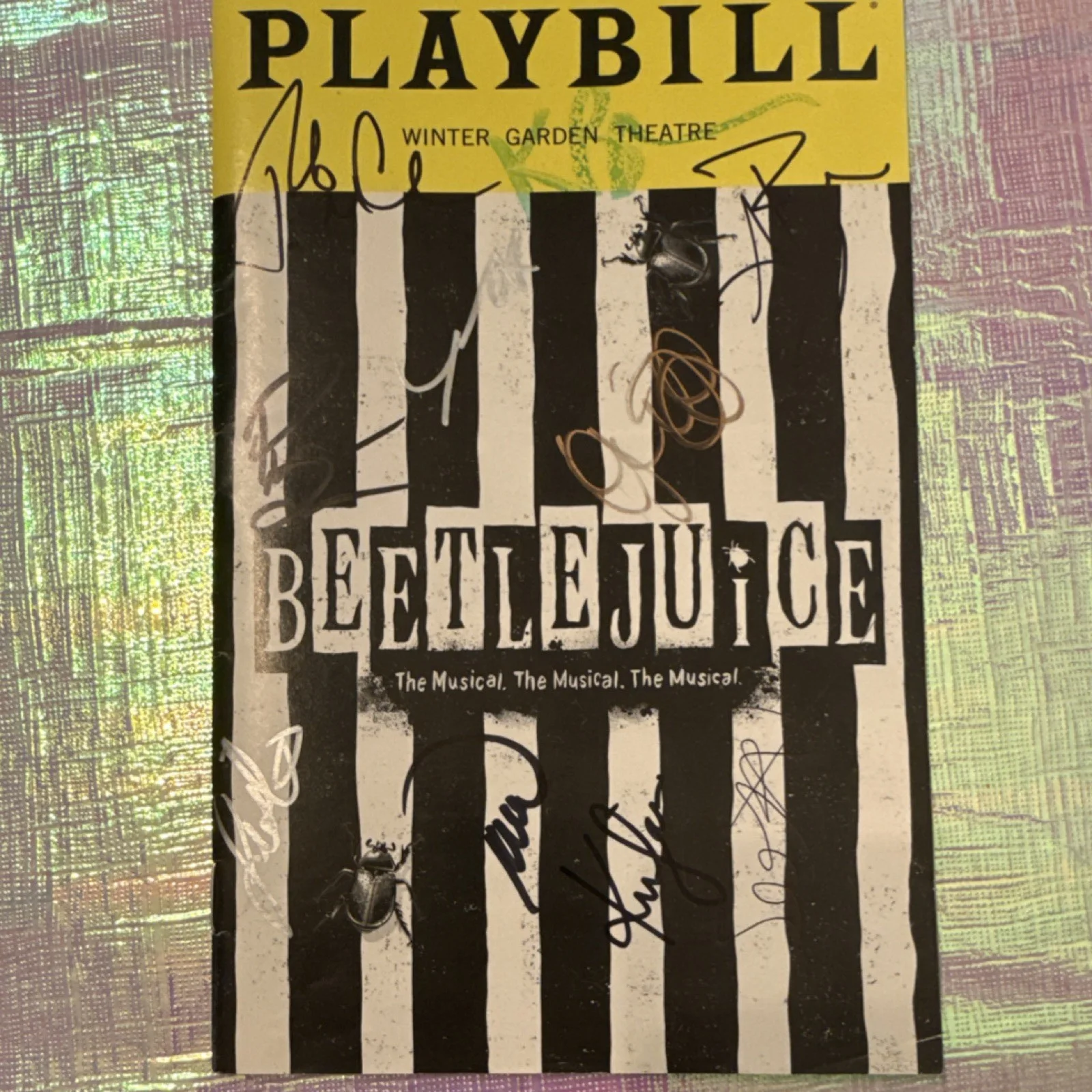 Alex Brightman, Sophia Anne Caruso, Kerry Butler, Rob McClure — Beetlejuice Original Signed Playbill Winter Garden Theatre Broadway Musical, image 2