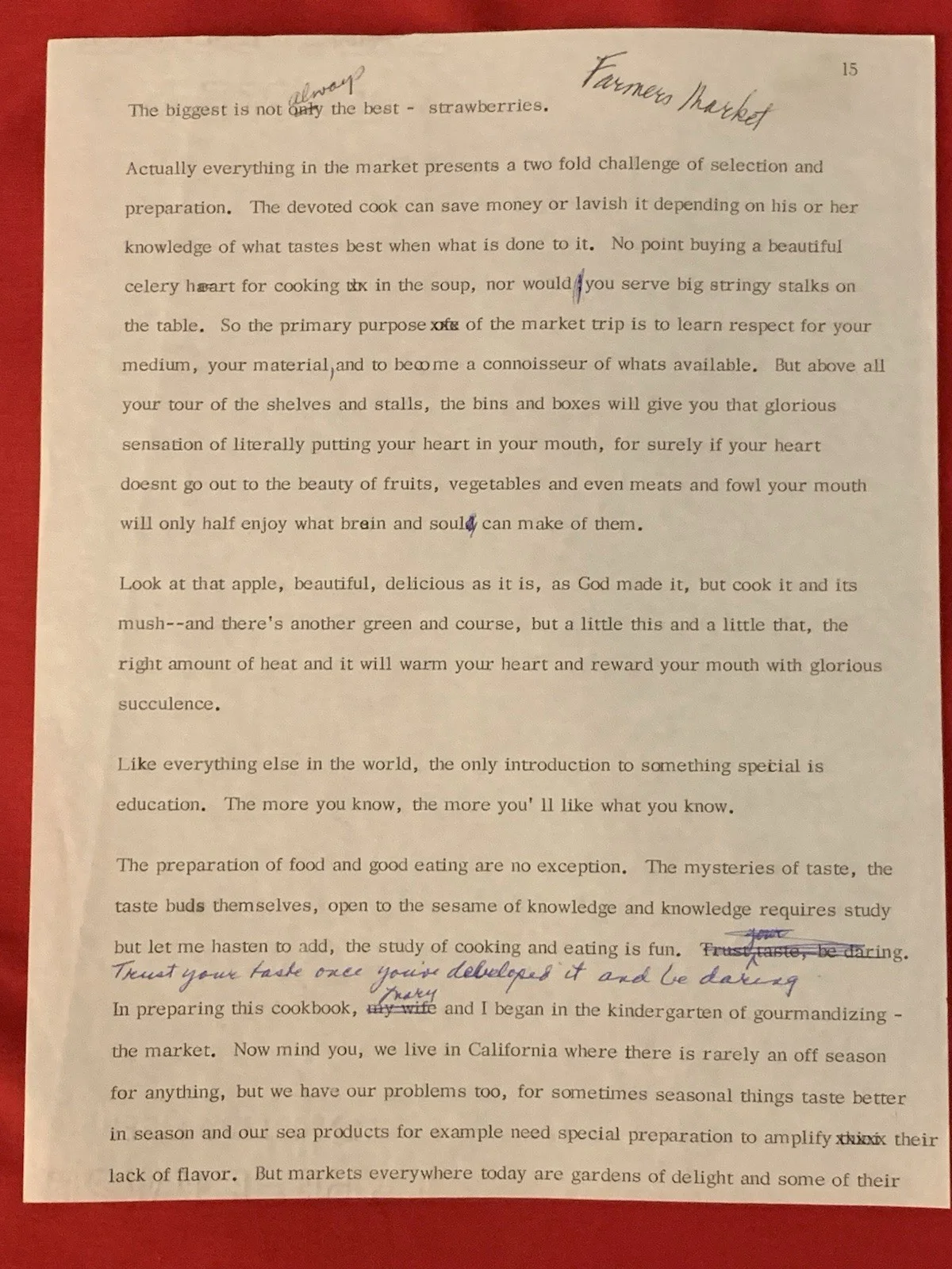 Vincent Price — Vincent Price Estate Typed Page From Cookbook With Corrections 14a