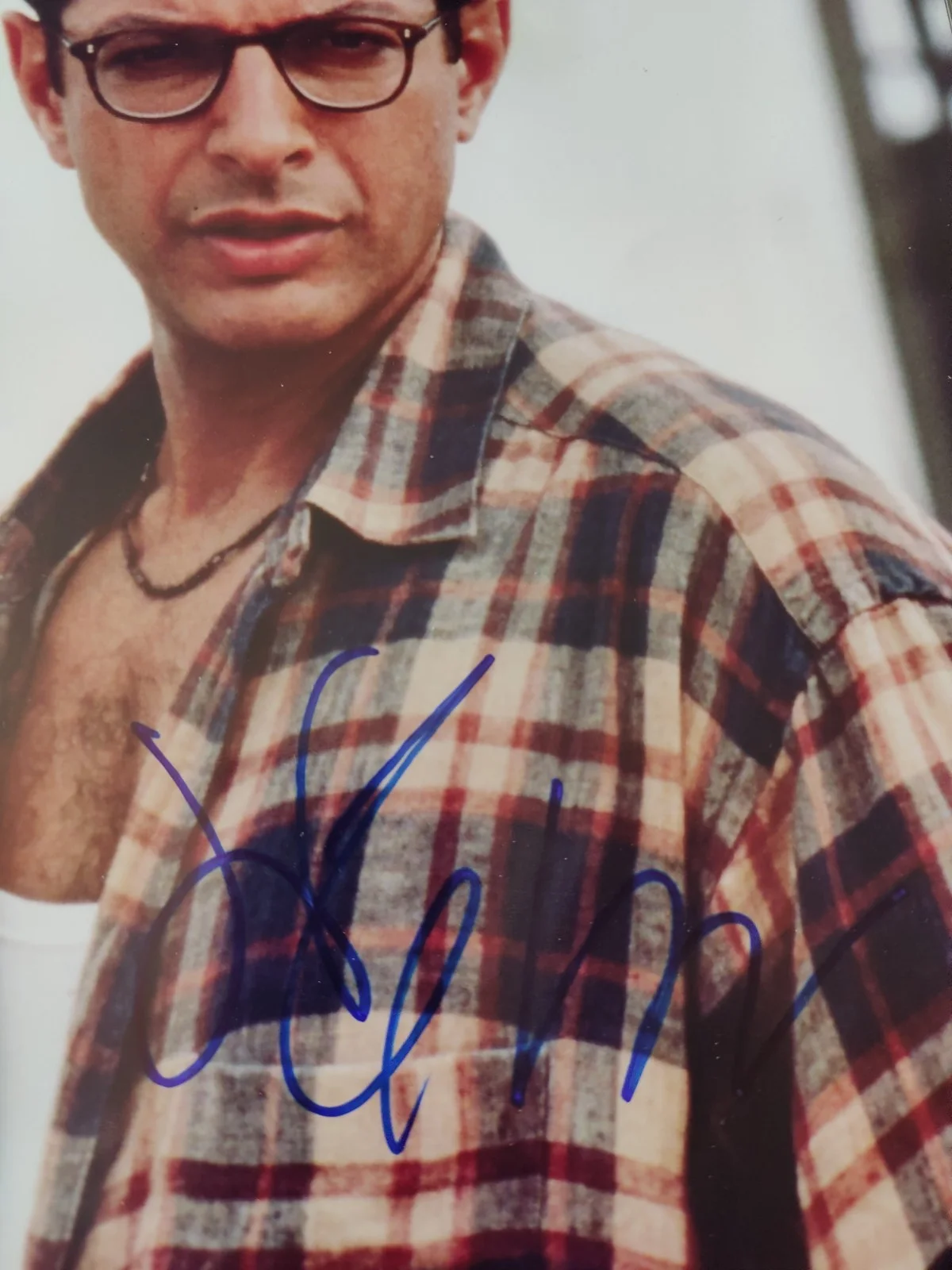 Jeff Goldblum — Jeff Goldblum Actor And Musician Autographed New 11x14 Independence Day Photo, изображение 2