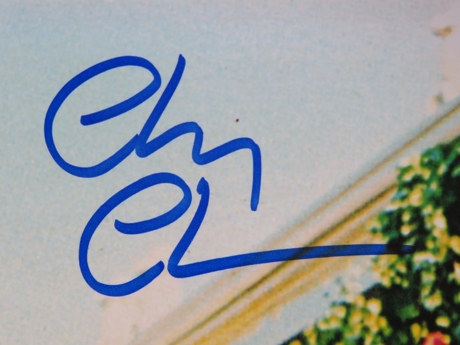 Chevy Chase NATIONAL LAMPOON'S VACATION Signed Autograph Auto 11x14 Photo JSA, image 2