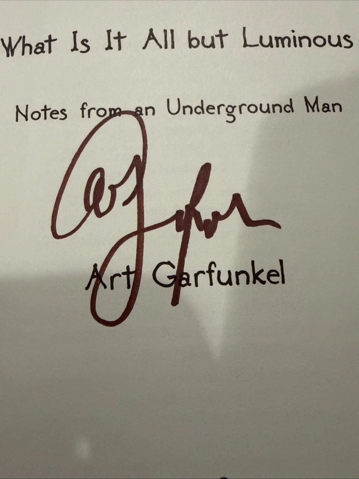 ART GARFUNKEL Signed “WHAT IS IT ALL BUT LUMINOUS” Book Musician Memoir Auto, изображение 3