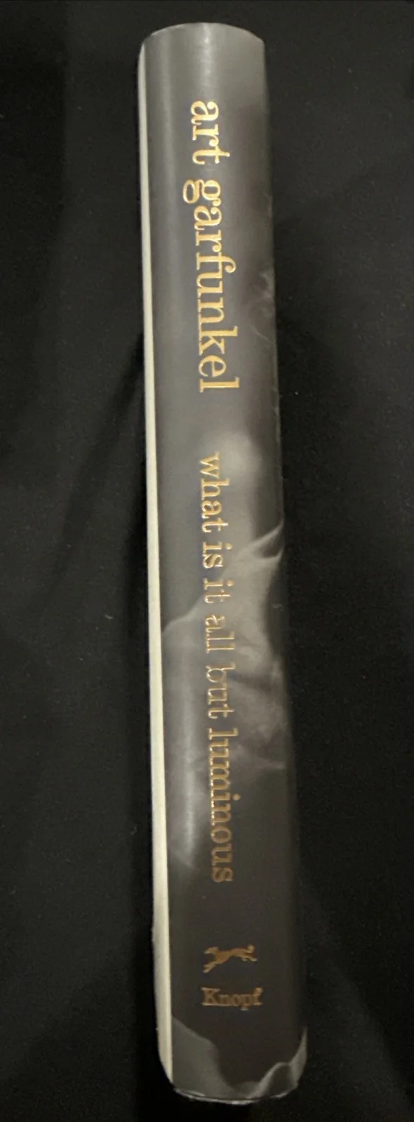 ART GARFUNKEL Signed “WHAT IS IT ALL BUT LUMINOUS” Book Musician Memoir Auto, изображение 4