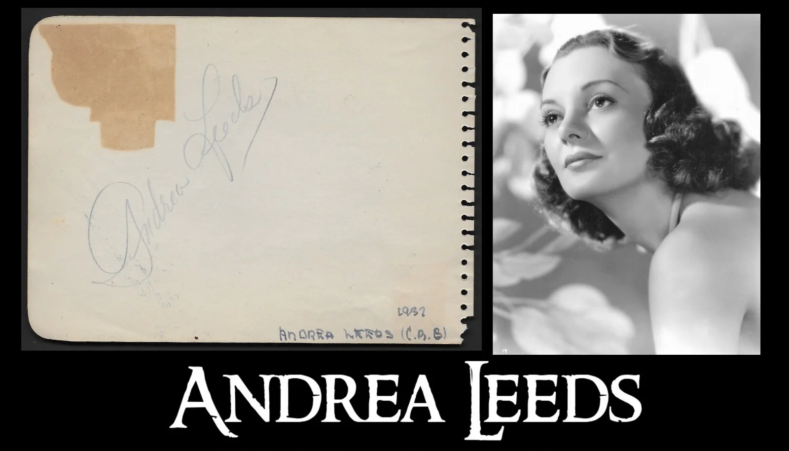 Don Ameche, Andrea Leeds — DON AMECHE & ANDREA LEEDS - 1937 GOLDEN AGE HOLLYWOOD Signed Autograph Book Page, image 2