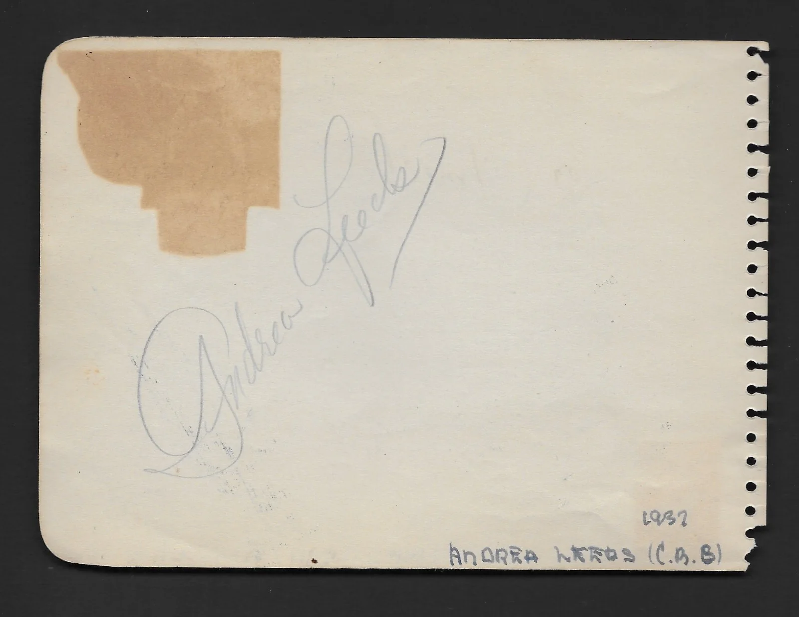 Don Ameche, Andrea Leeds — DON AMECHE & ANDREA LEEDS - 1937 GOLDEN AGE HOLLYWOOD Signed Autograph Book Page, image 4