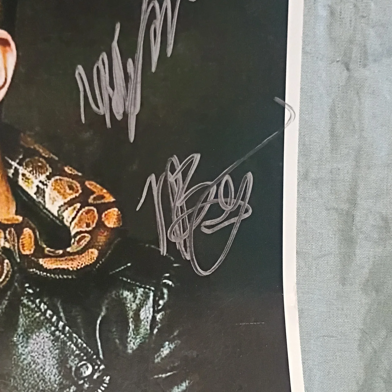 Carter Winter Signed Concert Poster Idaho Falls April 6 Multiple Signatures, image 5