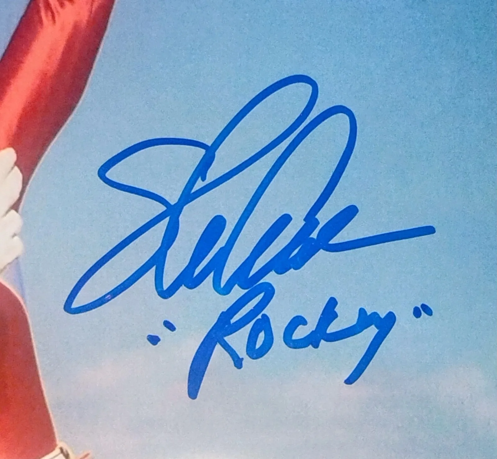 Steve Cardenas Hand Signed 8x10 Photo COA Red Power Ranger NO TARIFFS, изображение 3