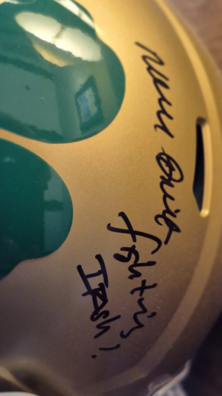 Noter dame football helmet from the movie rudy autographed by sean astin, изображение 2