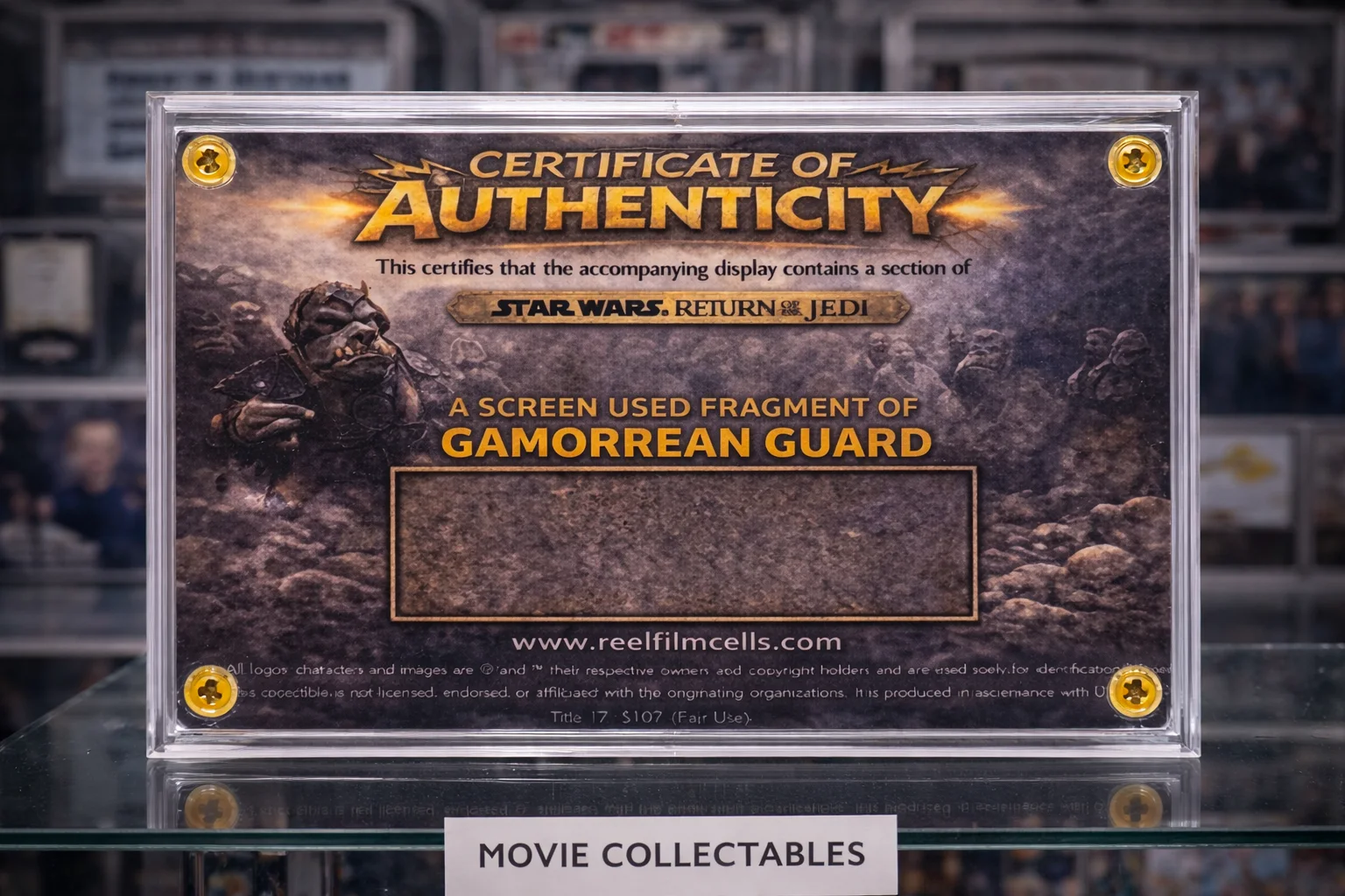 Screen-Used Star Wars Gamorrean Guard Fragment – Return of the Jedi Prop Display, image 2