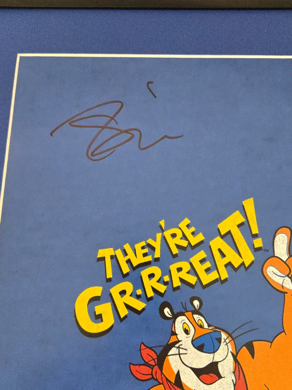 Tony the Tiger Frosted Flakes Signed Photo Tony Daniels Framed 16x20 Display JSA, изображение 2