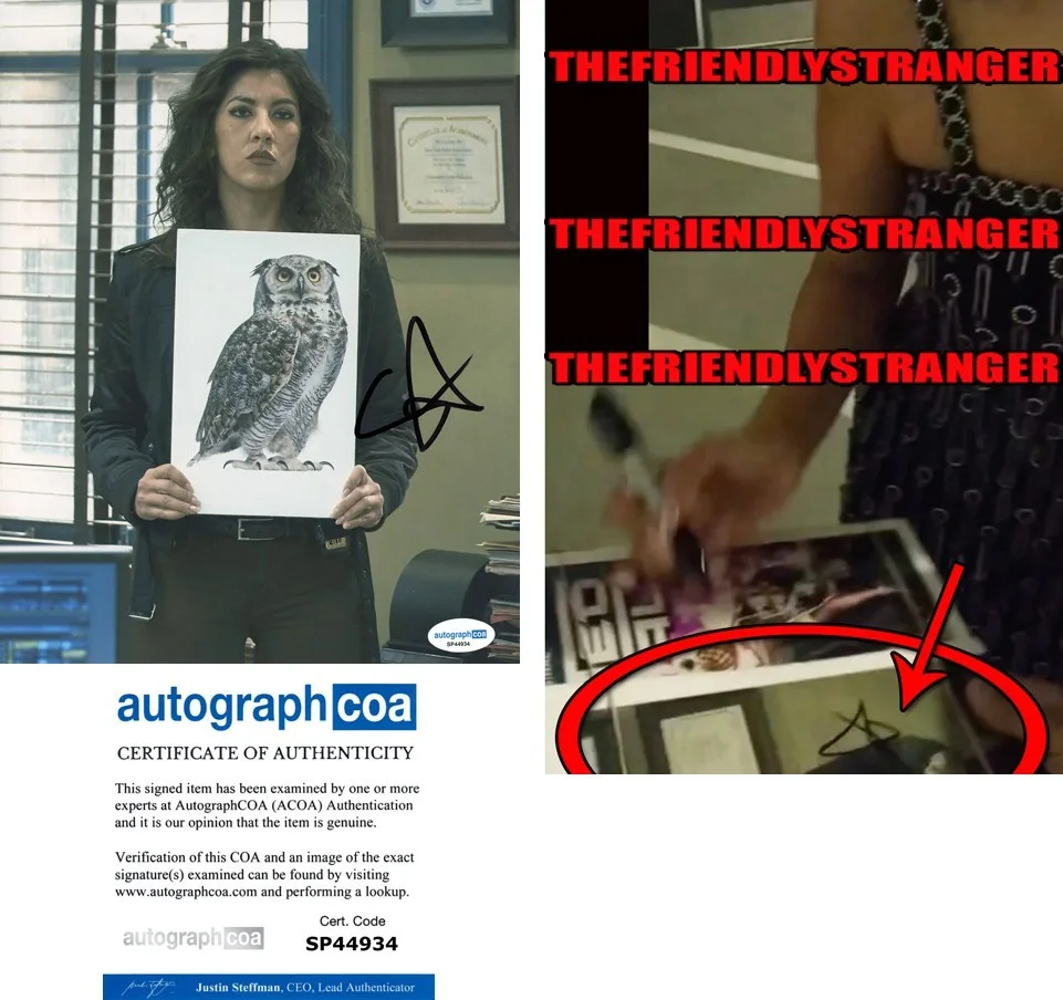 Stephanie Beatriz — Stephanie Beatriz signed "BROOKLYN NINE-NINE" 8x10 Photo EXACT PROOF g Rosa ACOA