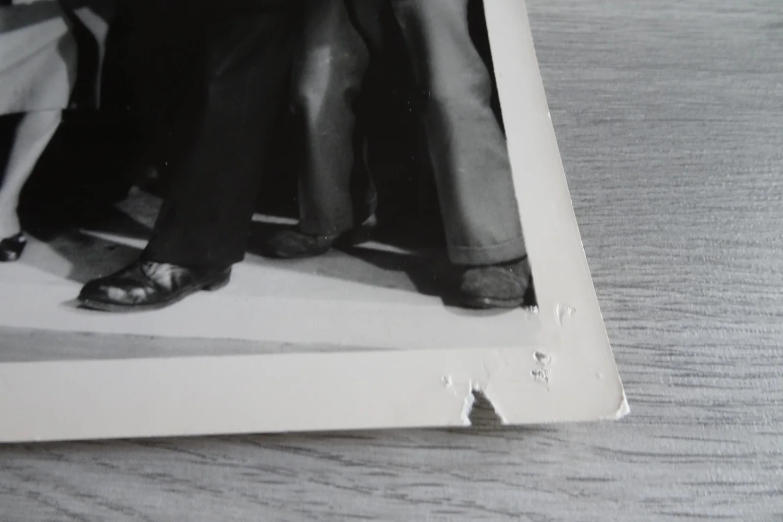 Gorgo Photo Press Still x 4 Monster Movie Bill Travers, image 4
