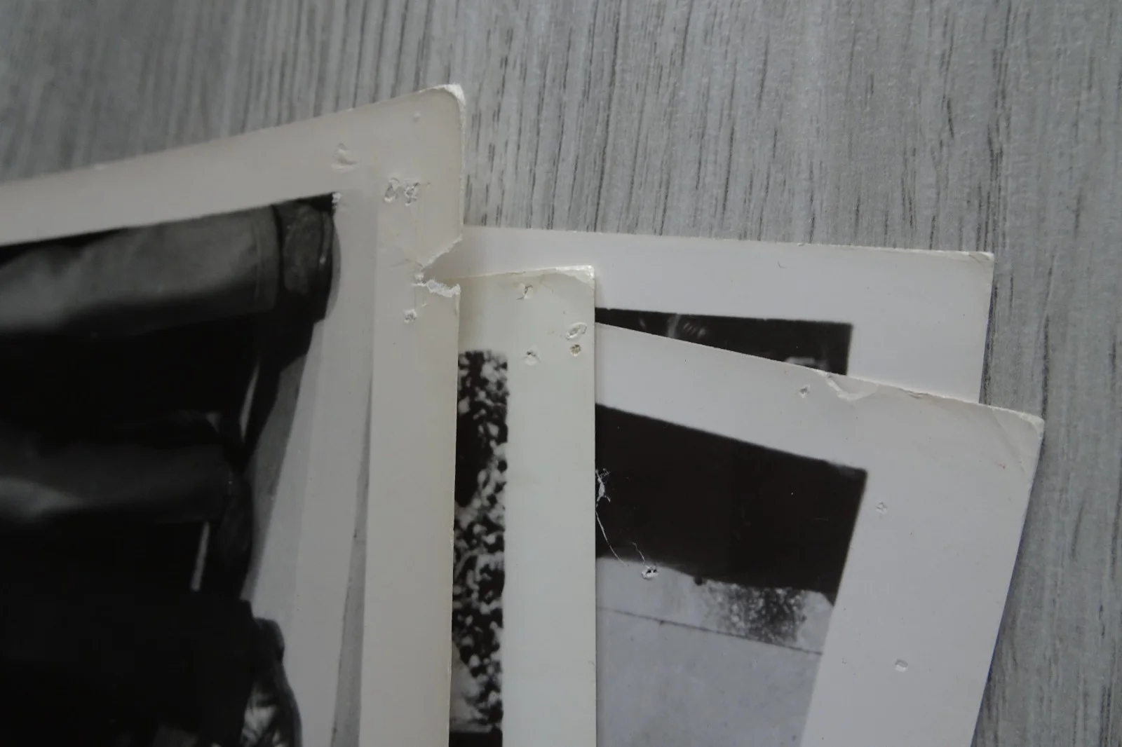 Gorgo Photo Press Still x 4 Monster Movie Bill Travers, image 5