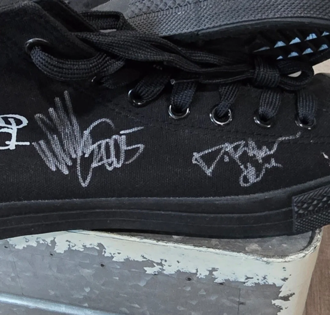 Lamb Of God Signed Shoes.. Vinyl Records, image 4