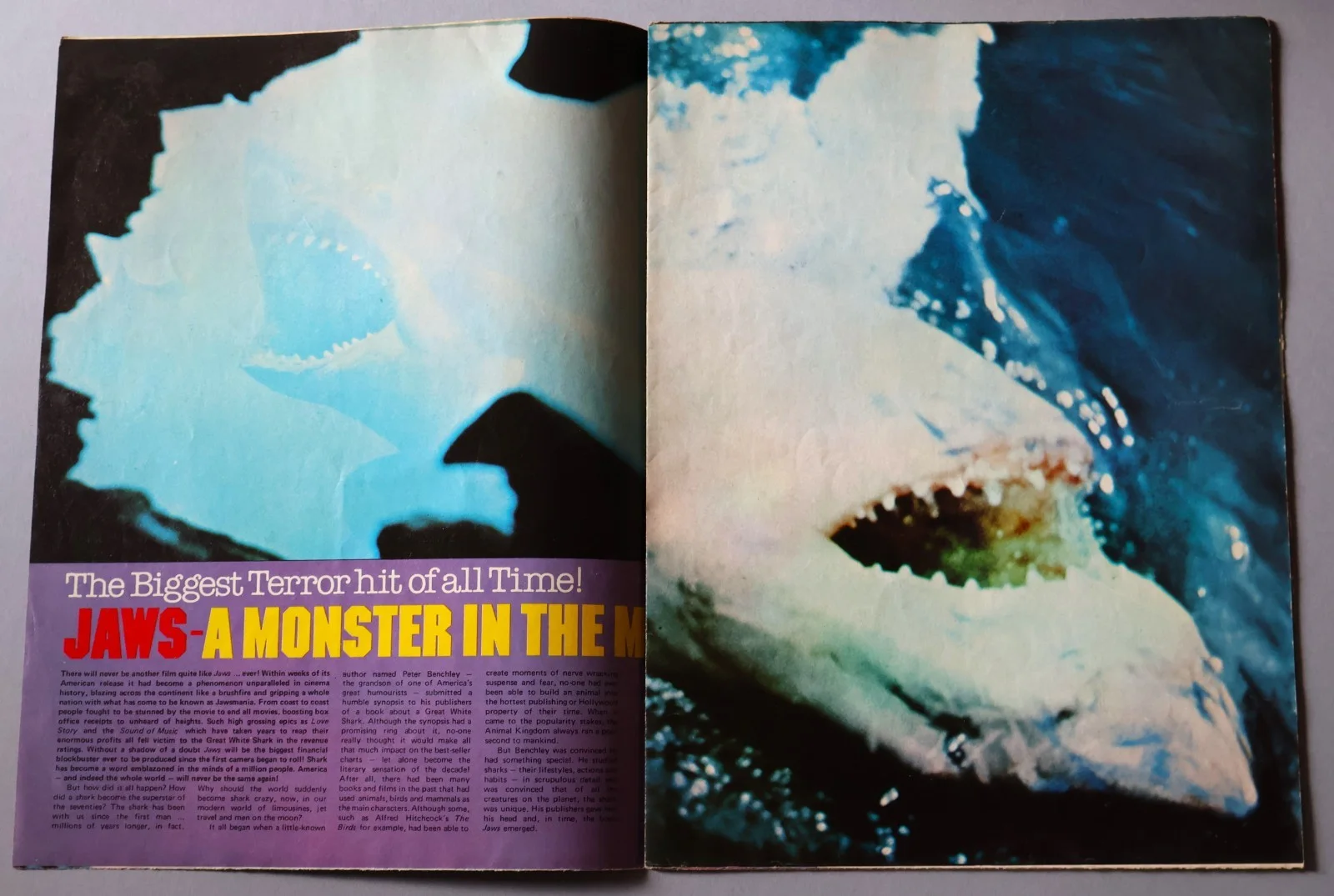 JAWS - UK 1975 Official Souvenir Brochure Programme & Giant Poster Magazine, image 5