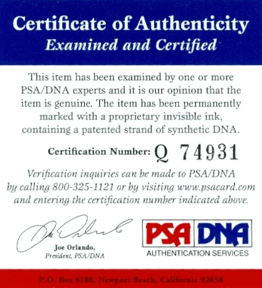 Jennifer Lawrence — Jennifer Lawrence Signed PSA/DNA COA Autographed 8X10 Movie Photo Autograph Auto, изображение 3