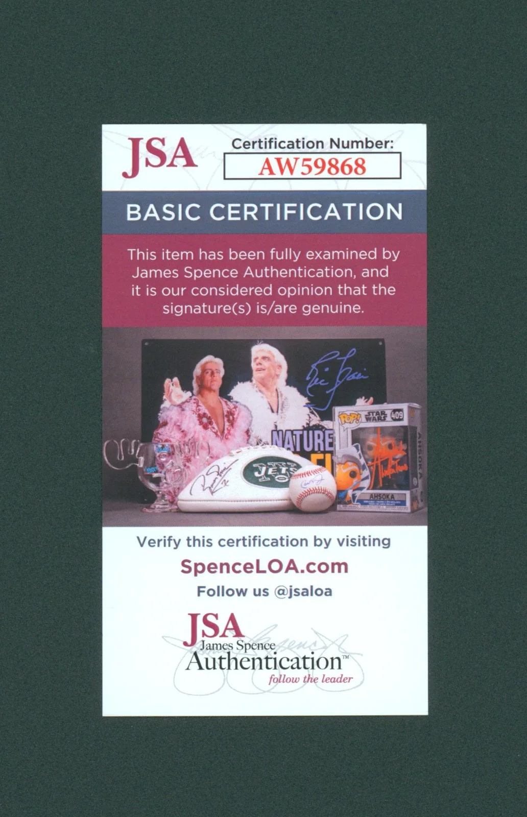 Elisha Cuthbert — Elisha Cuthbert Signed JSA COA Autographed 11X14 Sexy Girl Next Door Photo Auto, изображение 3