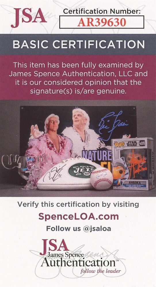 Gwyneth Paltrow — Gwyneth Paltrow Signed JSA COA Autographed 8X10 Shallow Hal Photo Autograph Auto, изображение 3
